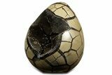 Polished Dragon Egg Septarian Geode - Free-Standing #344450-1